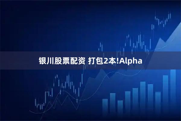 银川股票配资 打包2本!Alpha